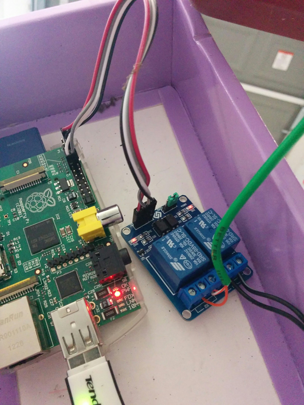 Raspberry Pi Connected to Relay and Garage Door